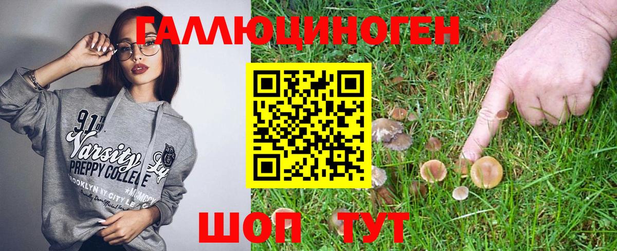 Галлюциногенные грибы Psilocybine cubensis  купить наркоту  Галлюциногенные грибы Magic Shrooms  Амурск  Вход с VPN 