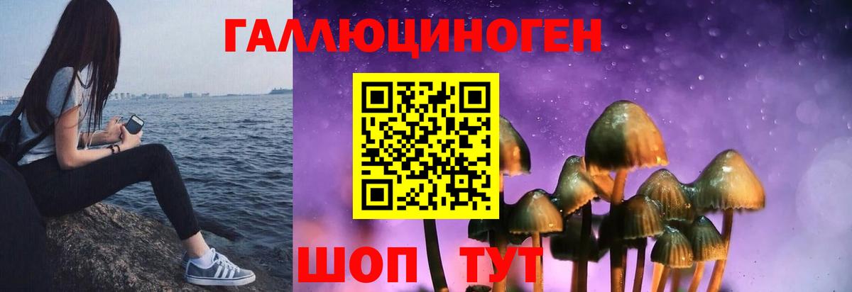 Галлюциногенные грибы мицелий Амурск